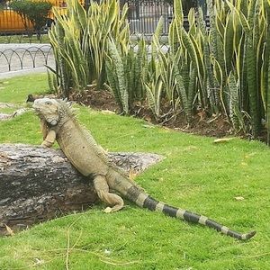 Meet your Posher, Cinthya